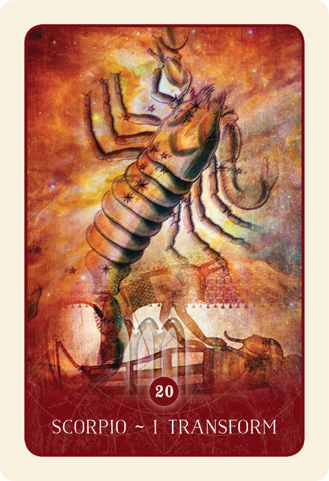 Black Moon Astrology Oracle Cards Deck by Susan Sheppard Blue Angel