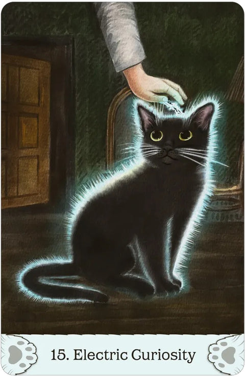 Cat Mythos & Magick Oracle Deck 45 Cards with Guidebook by US Games