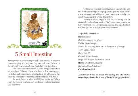 the Healthy Witch Oracle Cards Deck Schiffer Publishing