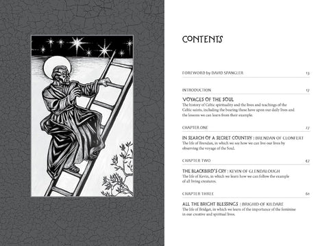 Voyages with the Celtic Saints Celtic Christian Spirituality Book