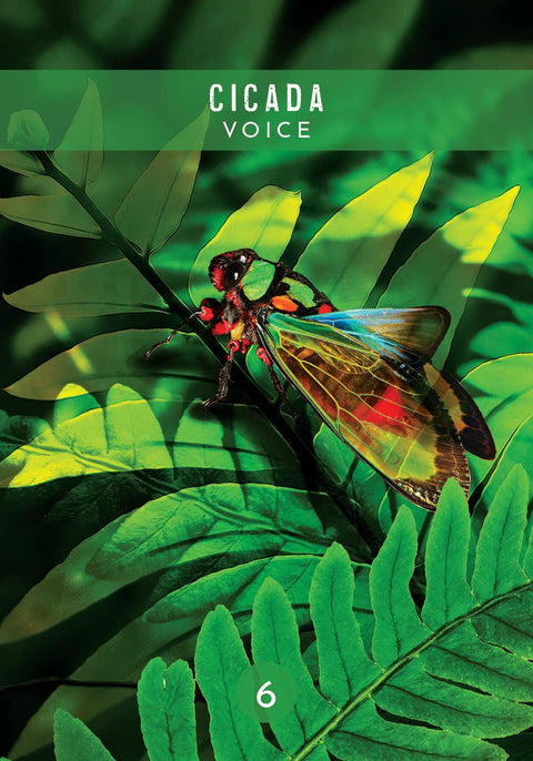 Messages From The Spirits Of Nature Oracle Cards Deck & Guidebook Hay House NEW