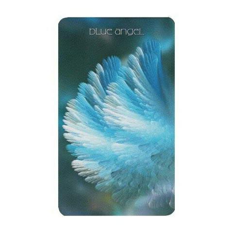 Healing Light And Angel Cards Deck & Book Set Schiffer Publishing Saleire NEW