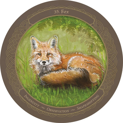 Enchanted Wheel of the Year Oracle Deck 45 Round Cards & Guidebook