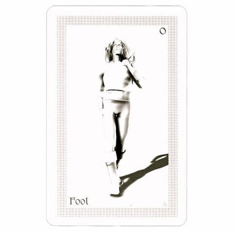 Shadowfox Tarot Cards Deck And Books Schiffer Publishing Richard & Jennifer NEW