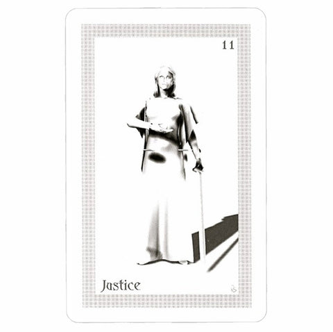 Shadowfox Tarot Cards Deck And Books Schiffer Publishing Richard & Jennifer NEW