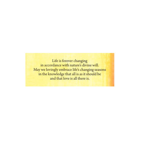 Soul Mate Oracle Cards Mini Love Affirmation Deck 55 Card Set Blue Angel