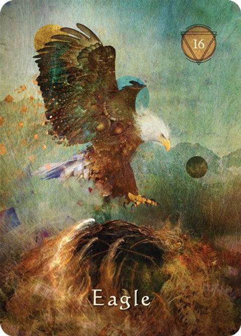Mystical Shaman Oracle Divination Cards Deck By Hay House