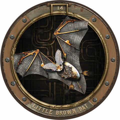 Zoologica Steampunk Oracle Card Deck by Maxine Gadd Blue Angel