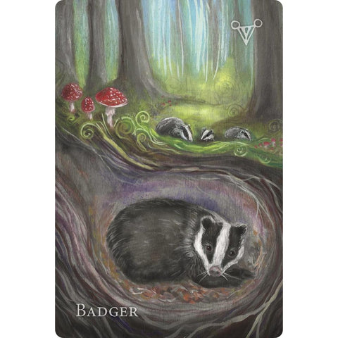 A Witch's Ally Oracle Deck 48 Cards & Guidebook by Llewellyn