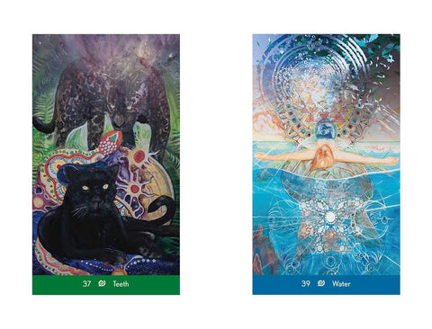 Dream Wisdom Oracle Cards 46-Card Deck for Lucid Dreaming Destiny Books