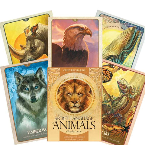 The Secret Language Of Animals Oracle Deck Cards Telling Blue Angel NEW