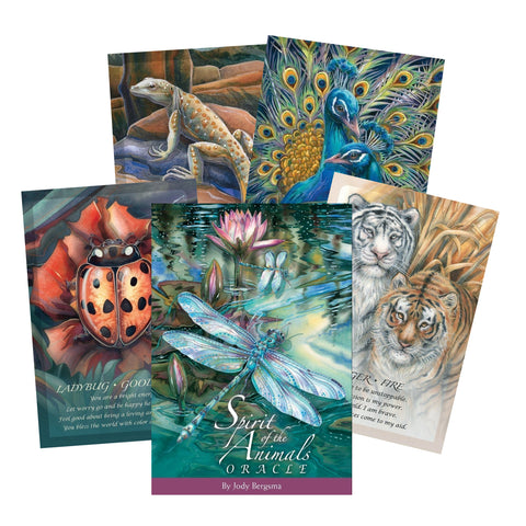 Spirit of the Animals Oracle Card Deck by Jody Bergsma US Games