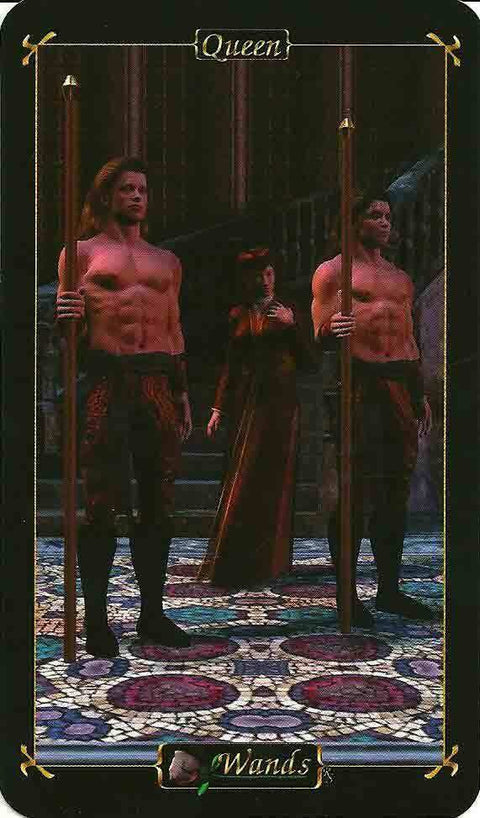 Tarot Deck Of Heroes Cards Schiffer Publishing Richard Shadowfox Esoteric NEW