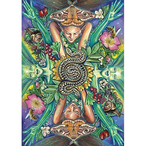 Everyday Enchantment Tarot Deck & Guidebook Set by Schiffer