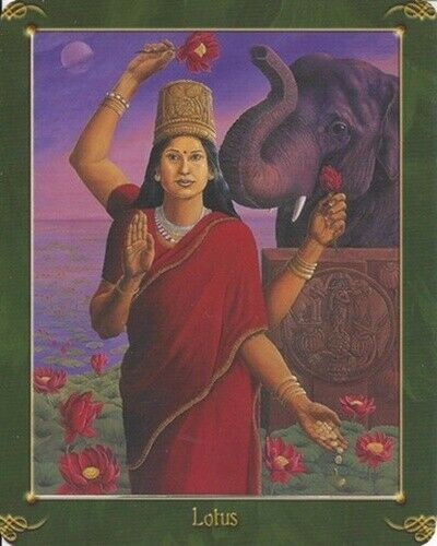 Green World Oracle Deck Cards Esoteric Kathleen Jenks Schiffer Publishing Sp090