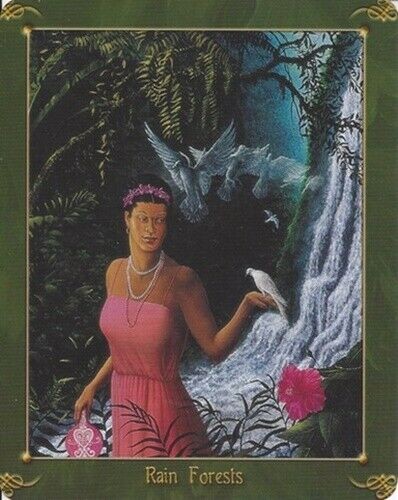 Green World Oracle Deck Cards Esoteric Kathleen Jenks Schiffer Publishing Sp090
