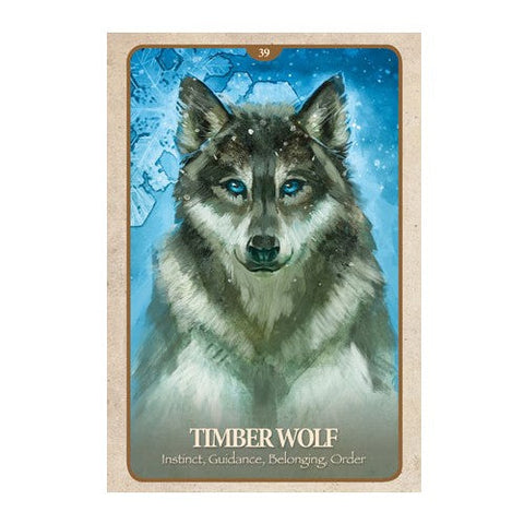The Secret Language Of Animals Oracle Deck Cards Telling Blue Angel NEW