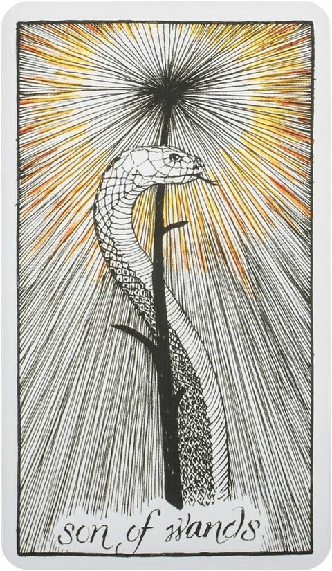 THE WILD UNKNOWN POCKET TAROT CARDS DECK HARPER ONE BY KIM KRANS ESOTERIC NEW