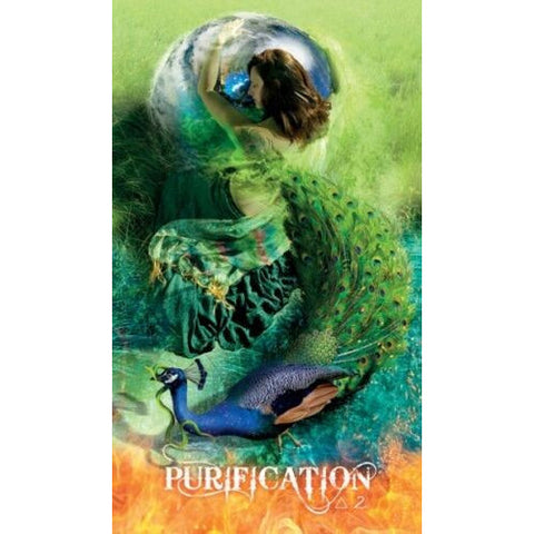 Transformation Oracle Cards Deck with Guidebook by Sonya Shannon NEW