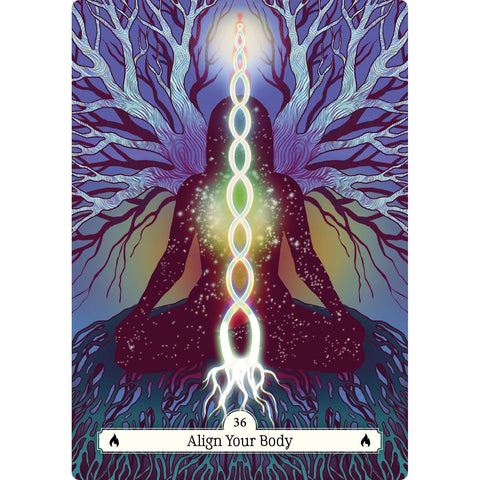 The Witch's Way Home Oracle Card Deck & Guidebook by Hay House