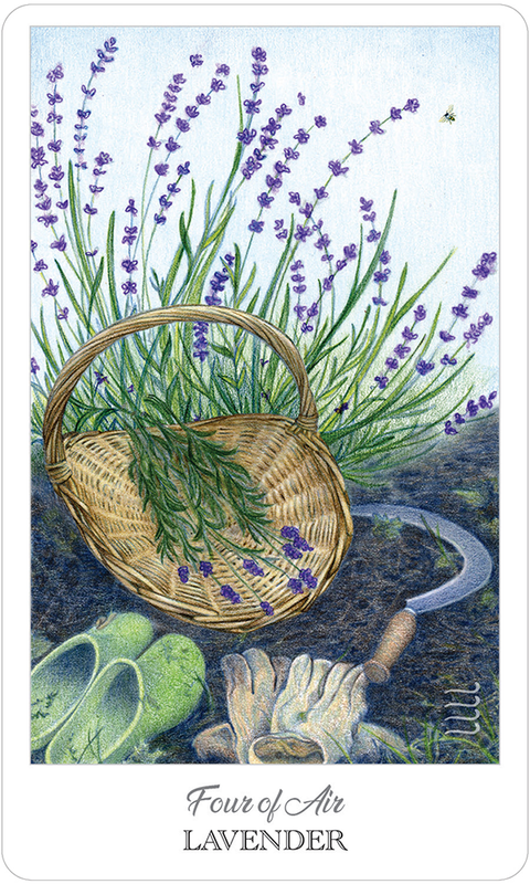 Herbcrafter's Tarot 78-Card Deck & Guidebook Set by US Games Systems