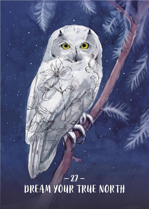 Sisterhood of the Seers Oracle Deck & Guidebook by Athena Laz Hay House