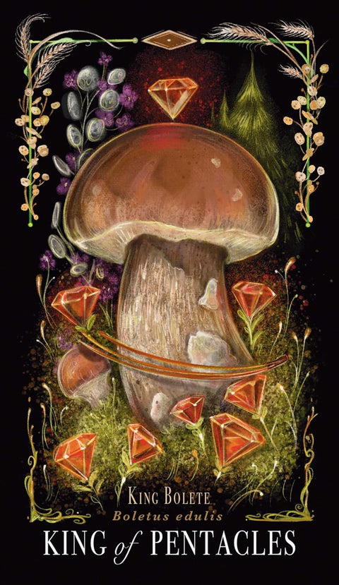 Midnight Magic Mushroom Tarot Card Deck by Sara Richard Adams Media