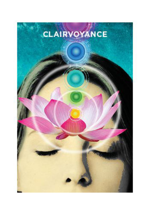 The Mediumship Training Cards Deck Holland & Rainbow Developing Hay House NEW