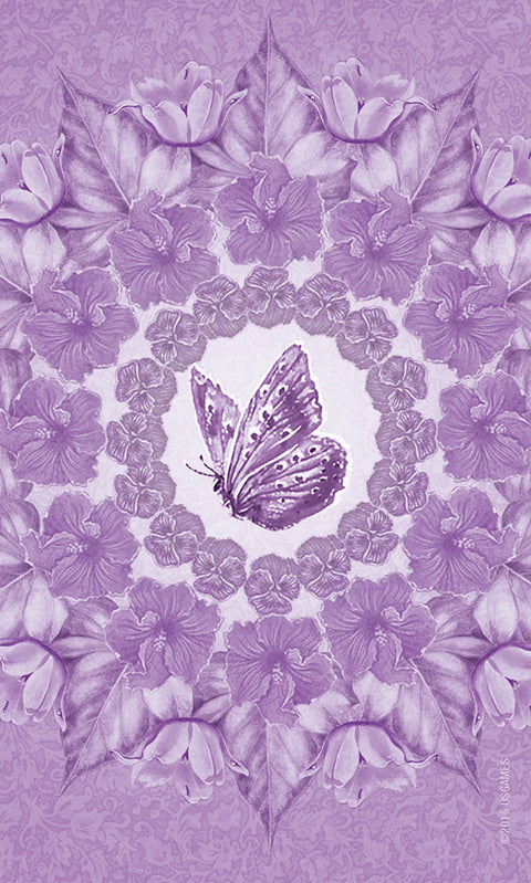 Inspirational Wisdom from Angels & Fairies Oracle Card Deck US Games