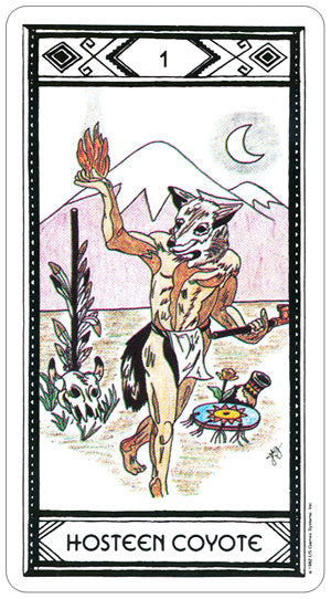 Native American Tarot Deck 78 Cards by US Games Systems with Guidebook