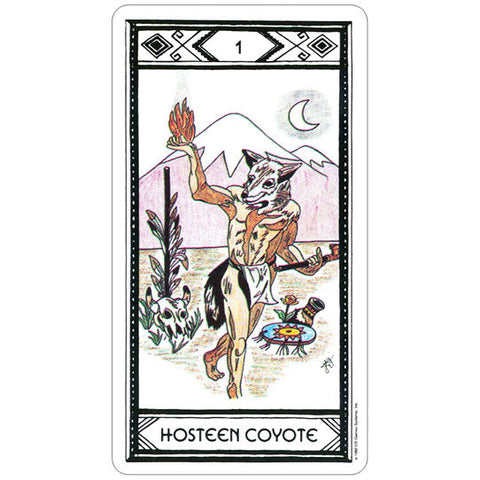 Native American Tarot Deck 78 Cards by US Games Systems with Guidebook