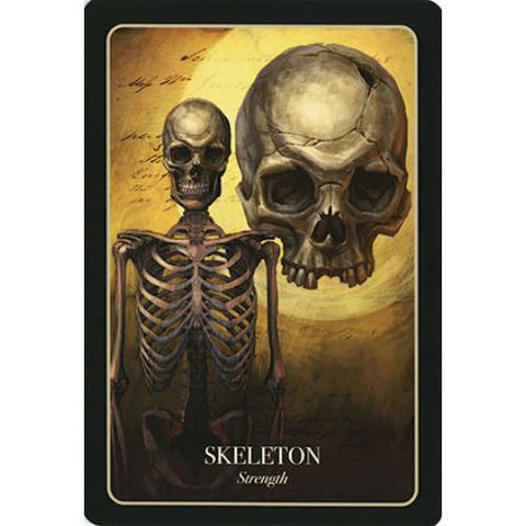 Halloween Oracle Tarot Divination Deck by Stacey Demarco Blue Angel