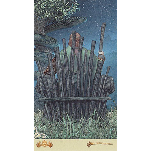 Vice Versa Tarot Deck & Guidebook Set Double-Sided 78 Cards Lo Scarabeo