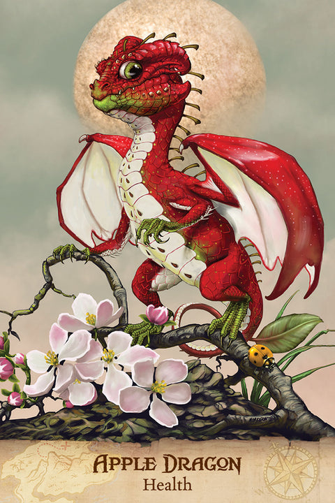 Field Guide to Garden Dragons Oracle Cards Deck & Book Set US Games