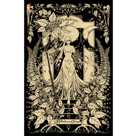 The Magickal Botanical Oracle Cards Deck Lo Scarabeo By Miller & Penzack NEW