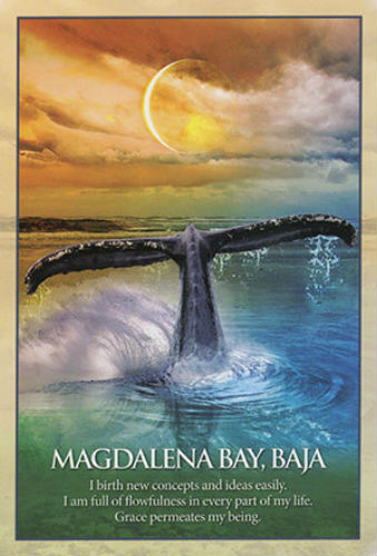 Earth Power Oracle Deck by Blue Angel 41 Sacred Places Divination Cards