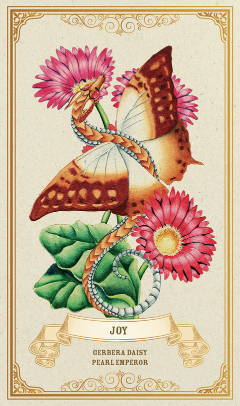 Enchanted Blossoms Oracle Deck by Carla Morrow 44 Cards Blue Angel