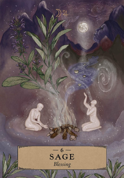 The Herbal Astrology Pocket Oracle Deck And Guidebook Hay House Hh162