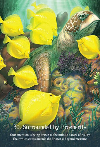 Whispers Of The Ocean Oracle Cards Deck Esoteric Blue Angel Fortune With Bag