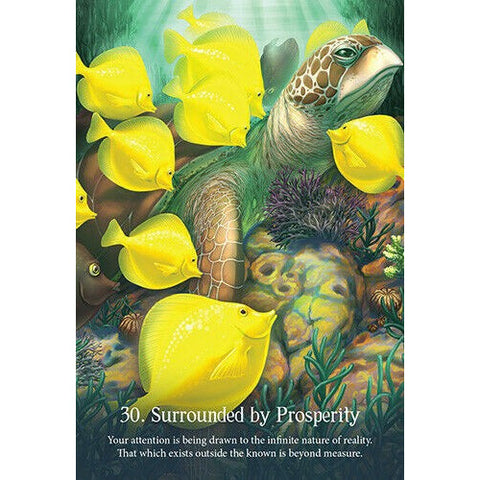 Whispers Of The Ocean Oracle Cards Deck Esoteric Blue Angel Fortune