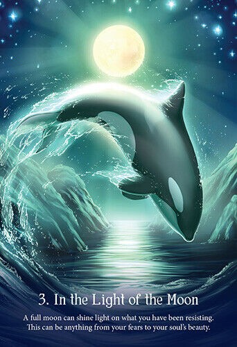 Whispers Of The Ocean Oracle Cards Deck Esoteric Blue Angel Fortune With Bag