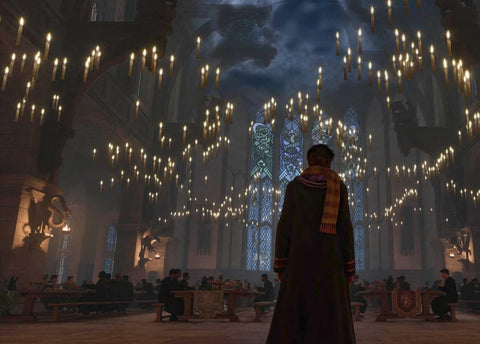 Harry Potter: Hogwarts Legacy Journal Insight Editions