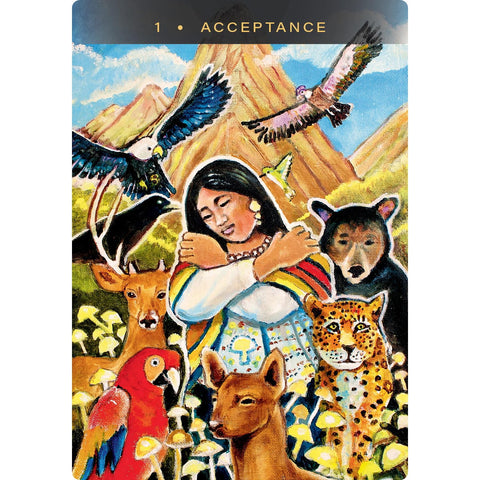 Sacred Mushroom Oracle Cards 44-Card Deck & Guidebook by Hay House