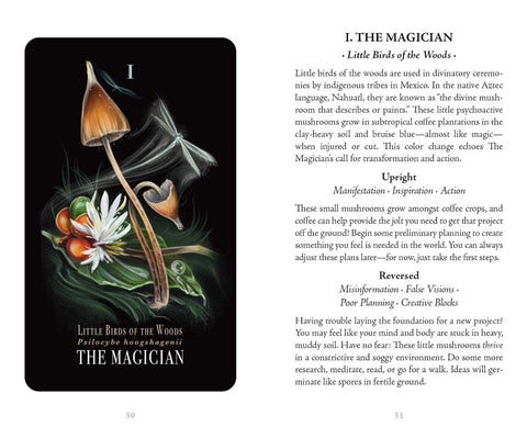 Midnight Magic Mushroom Tarot Card Deck by Sara Richard Adams Media