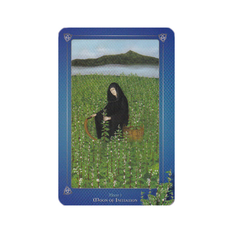 The Avalonian Oracle Cards Deck & Book Jhenah Telyndru Schiffer Publishing NEW