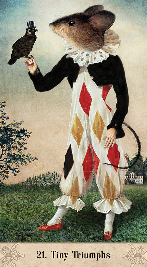 Oracle Of Mystical Moments Cards Deck Esoteric Telling US Games Systems NEW