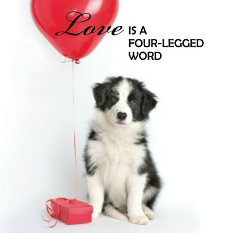 Pup Notes Dog Inspiration Cards Deck by U.S. Games Systems, 60 Cards