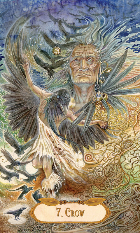 The Winged Enchantment Oracle Cards Deck Esoteric Telling US Games Systems NEW