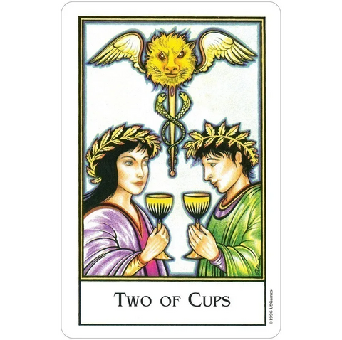 New Palladini Tarot Deck 78 Cards US Games Systems English Guide