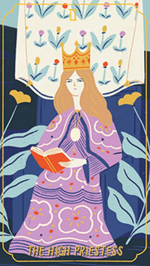 Enchantress Tarot Deck by Josefina Schargorodsky 78 Cards & Guidebook